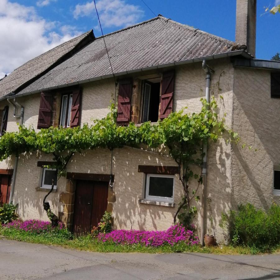 Maison Familiale Coteaux De La Vezere Voutezac Buitenkant foto